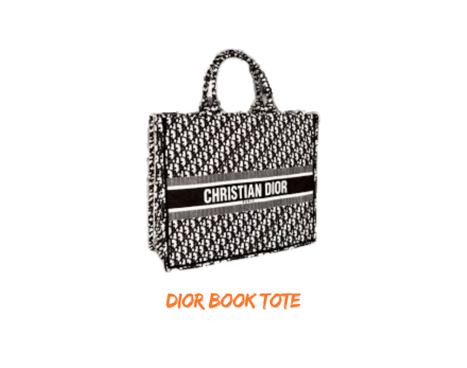 Dior Book Tote