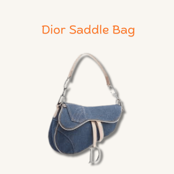 Dior Saddle Bag