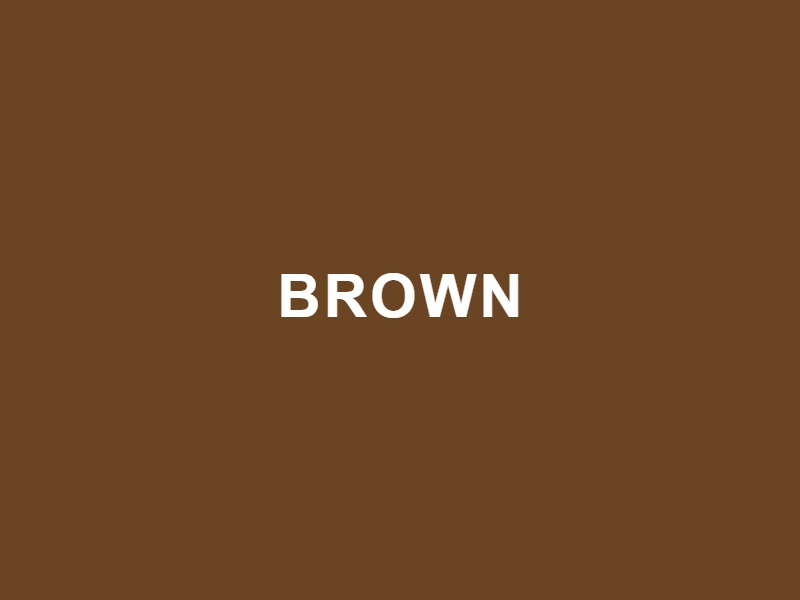 Tignanello Brown purse color swatch