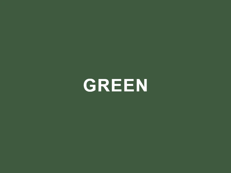 Tignanello Green purse color swatch