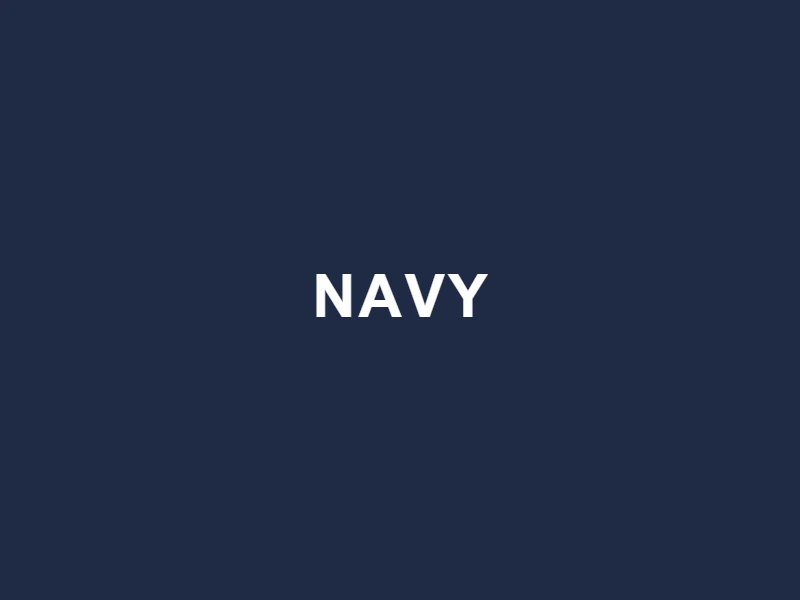 Tignanello Navy purse color swatch