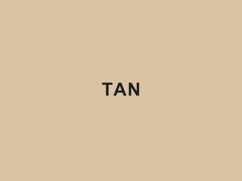 Tignanello Tan purse color swatch