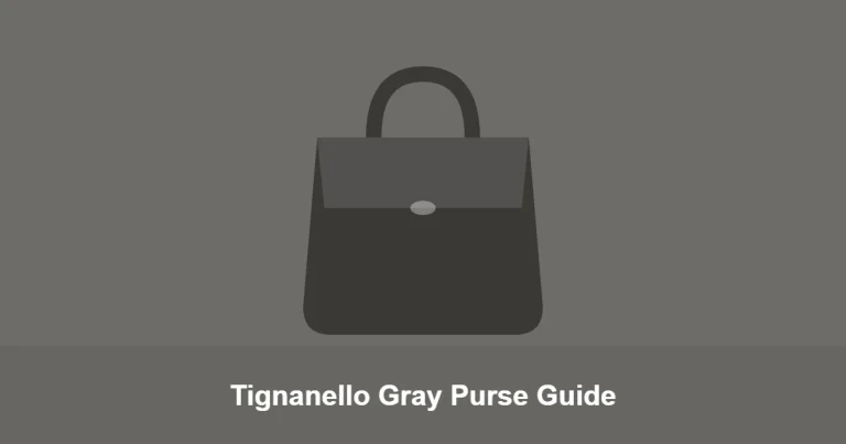 Tignanello Gray Purse Guide guide thumbnail
